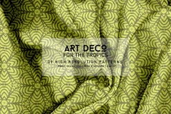Art Deco for the Tropics