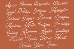 Artisan - Flourish Script Font