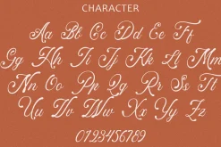 Artisan - Flourish Script Font