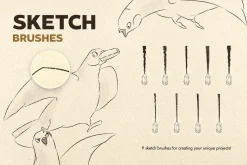 Artista Affinity Designer Brushes