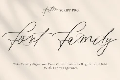 Artsn Script Pro