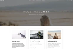 Aspen - Minimalist WordPress Theme