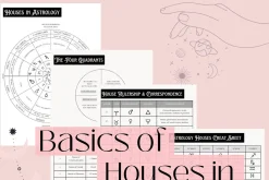 Astrology House Cheat Sheet Beginner