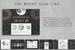 Astrology Zodiac Collection
