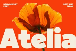 Atelia - Bold Display Font