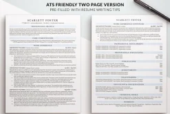ATS Friendly Executive Resume / CV