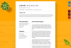ATS-Freindly Job Resume