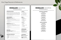 ATS Resume CV Word & Google Docs 59