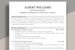 ATS Resume Template / CV Template