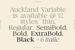 Auckland Variable Serif