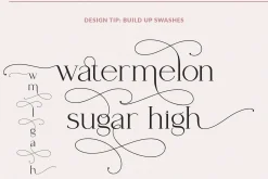 August Roma // luxury serif font