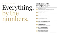 Aurelle Shopify Theme