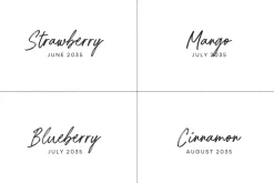 Austery - Brush Script Font