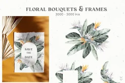 Australia Animals & Flora Watercolor