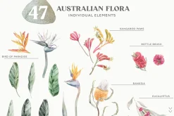 Australia Animals & Flora Watercolor