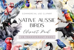 Australian Native Birds Clipart