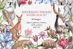 Australian Wildlife Watercolor Set