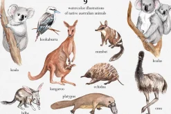Australian Wildlife Watercolor Set