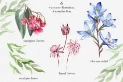 Australian Wildlife Watercolor Set