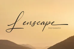 Austrisa - Modern Calligraphy