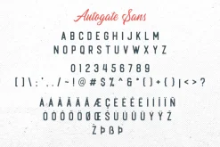 Autogate - Font Duo (+BONUS)
