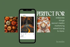 140 Autumn Aesthetic Stock Photos