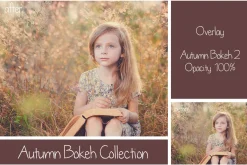 30 Autumn Bokeh Overlays