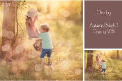 30 Autumn Bokeh Overlays