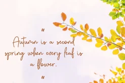 Autumn Fairy Signature Monoline Font