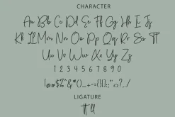 Autumn Fairy Signature Monoline Font