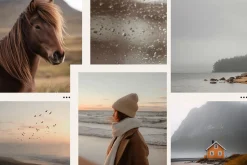 300 Autumn Fall Styled Stock Photos