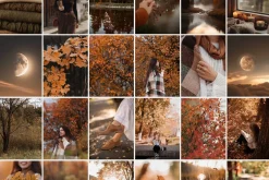 300 Autumn Fall Styled Stock Photos