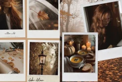 300 Autumn Fall Styled Stock Photos