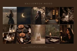 300 Autumn Fall Styled Stock Photos