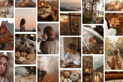 300 Autumn Fall Styled Stock Photos