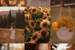 300 Autumn Fall Styled Stock Photos