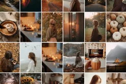 300 Autumn Fall Styled Stock Photos
