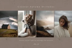 300 Autumn Fall Styled Stock Photos