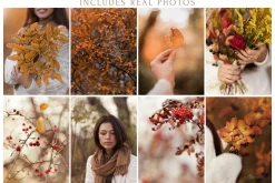 300 Autumn Fall Styled Stock Photos