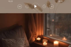 300 Autumn Fall Styled Stock Photos