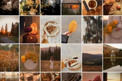 300 Autumn Fall Styled Stock Photos