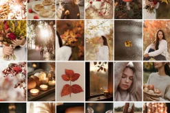 300 Autumn Fall Styled Stock Photos