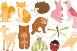 Autumn Fall Vector Clipart Bundle
