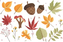 Autumn Fall Vector Clipart Bundle