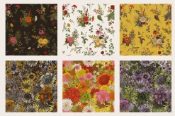 Autumn Garden. Color