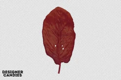 Autumn Leaves
