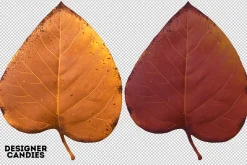 Autumn Leaves
