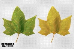 Autumn Leaves
