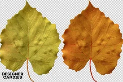 Autumn Leaves