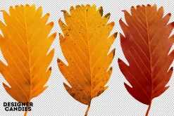 Autumn Leaves